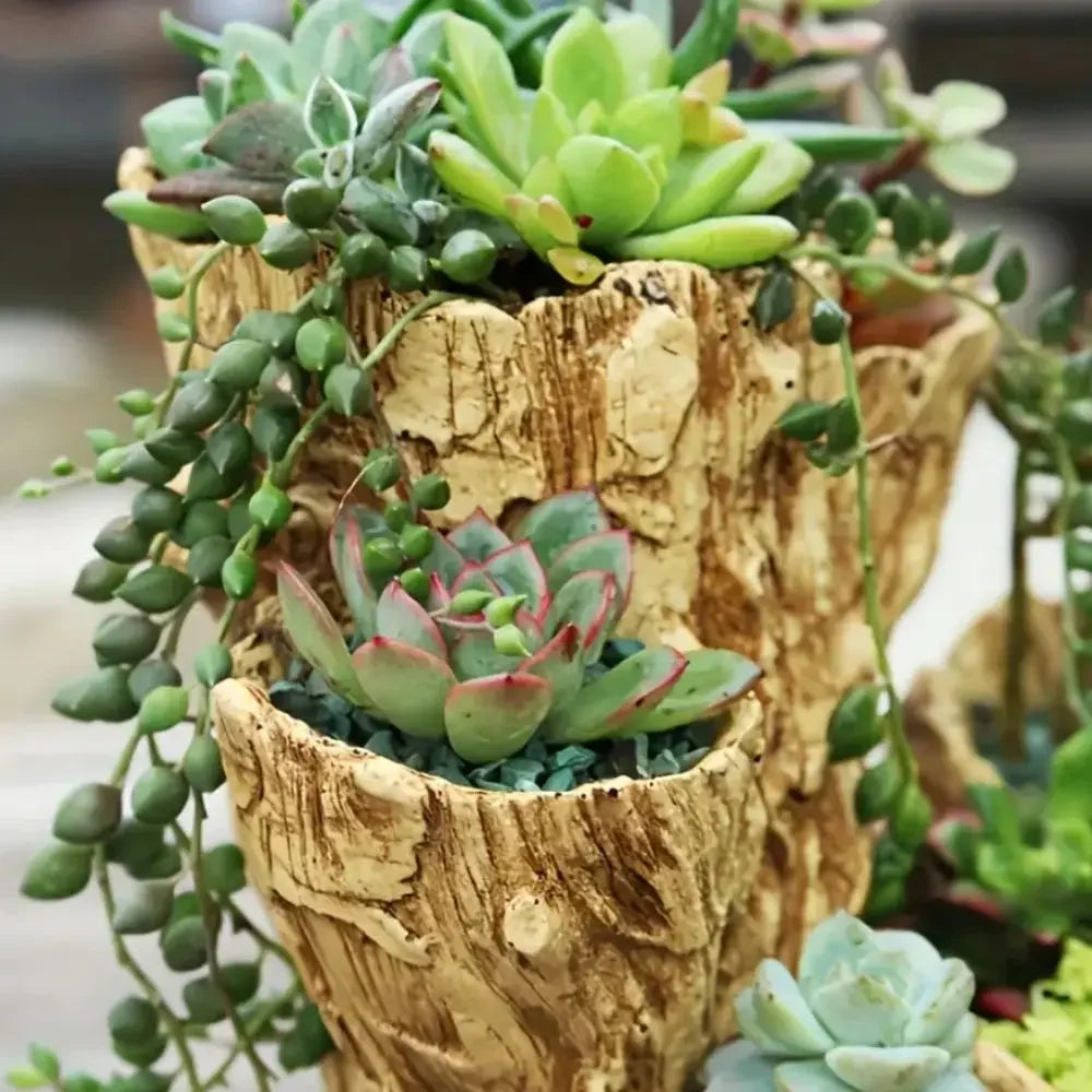 Resin Succulent Flowerpot (with Drainage Hole) - Unique Asymmetrical Texture Design, Dual-Use Indoor and Outdoor Decoration