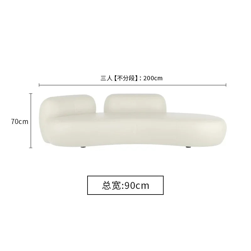 Premium flooring, living room sofa, Nordic velvet, Italian minimalism, lounge sofa, curved fabric, wooden sofa