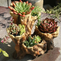 American Broken Root Shape Succulent Resin Flower Pot Outdoor Balcony Furnishing Crafts Garden Villa Vase Ornaments Decoration