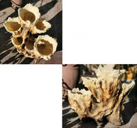 American Broken Root Shape Succulent Resin Flower Pot Outdoor Balcony Furnishing Crafts Garden Villa Vase Ornaments Decoration