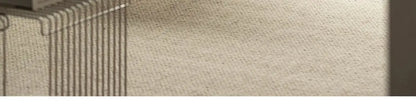Single sofa chair swivel chair Nordic designer creative simple casual ins swan chair