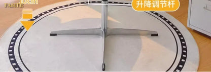 New Computer Chair, Home Bedroom Girls Makeup Chair, Comfortable Sedentary Dressing Table Stool, Sherpa Lift Swivel Chair