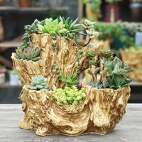 Resin Succulent Flowerpot (with Drainage Hole) - Unique Asymmetrical Texture Design, Dual-Use Indoor and Outdoor Decoration