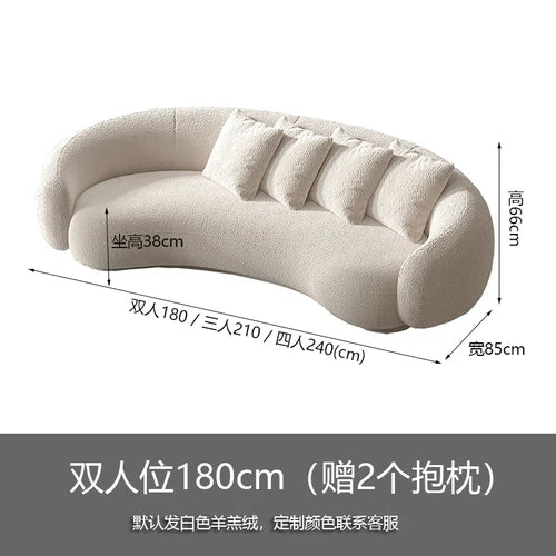 Arc-shaped sofa, small unit, internet celebrity, light luxury homestay villa, designer, lamb plush leather art sofa