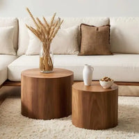 Nesting Coffee Table Set of 2, Modern Round Walnut Wooden Tables for Small Spaces