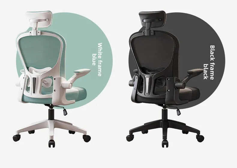 New model Computer chair Dormitory chair Ergonomic chair Learning seat Computer chair with waist rest