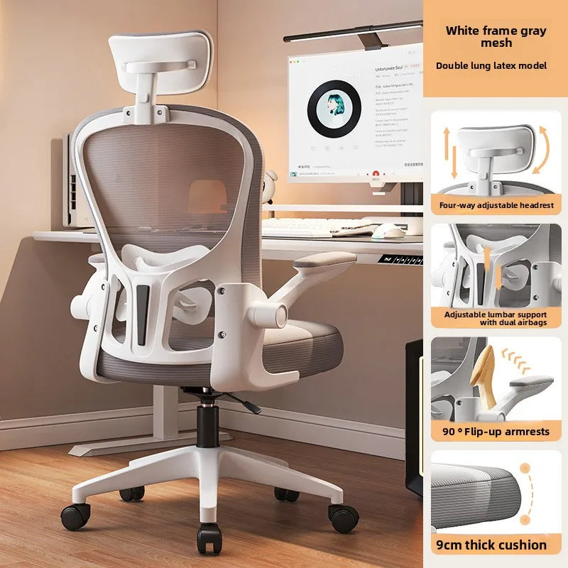 New model Computer chair Dormitory chair Ergonomic chair Learning seat Computer chair with waist rest