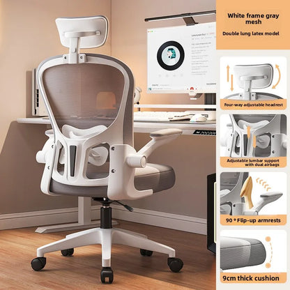 New model Computer chair Dormitory chair Ergonomic chair Learning seat Computer chair with waist rest