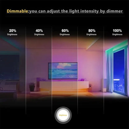 High Density 5M/Roll 784leds/m 24V RGBW RGBWW COB Led Strip RA90 12mm High Brightness Dimmable Led Strip Light