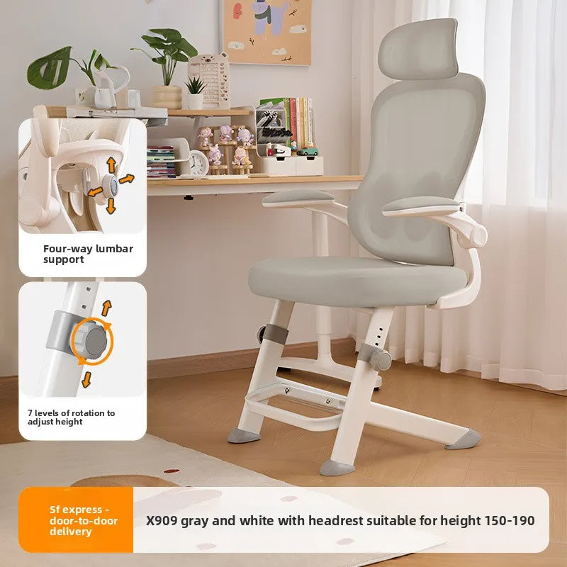 New model Durable Office Study Chair Computer Chair Household Desk Chair Student Writing Chair Waist Protection Ergonomic Chair