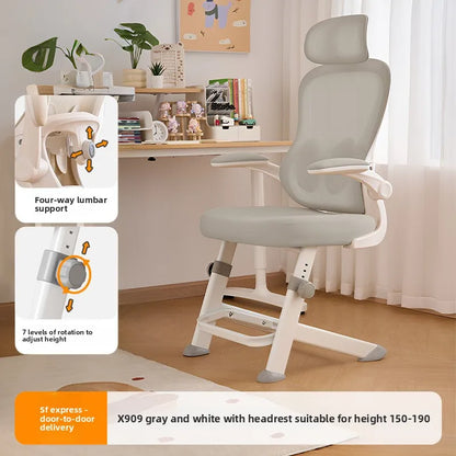 New model Durable Office Study Chair Computer Chair Household Desk Chair Student Writing Chair Waist Protection Ergonomic Chair
