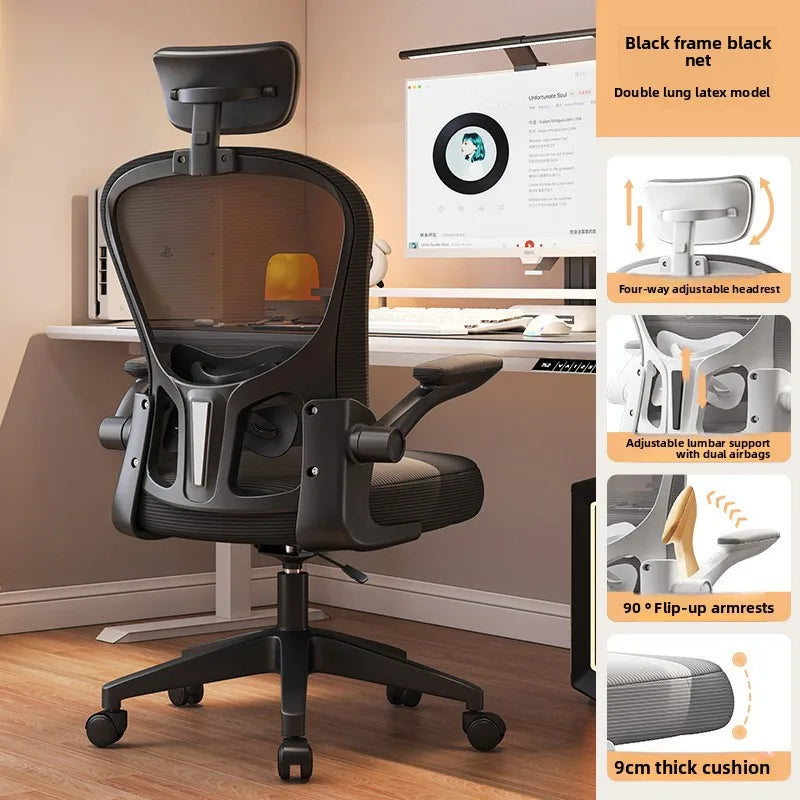 New model Computer chair Dormitory chair Ergonomic chair Learning seat Computer chair with waist rest