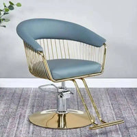 High end, stainless steel, dining chair, single sofa chair designer