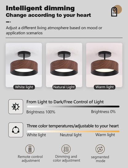 Nordic LED Ceiling Light Circular Walnut Wood Grain Aisle Light Dressing Room Corridor Balcony Decoration Indoor Ceiling Lamp