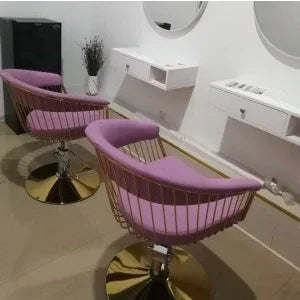 Chair Hair  Private Network Red Disc High-Grade Lifting Rotating Hair Cutting Chair