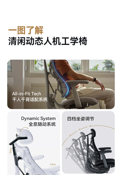 Relaxing Dynamic Ergonomic Chair Human Body Ergonomic Chair Computer