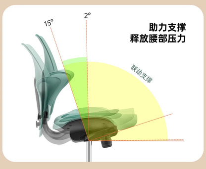 Back support Computer Office ergonomics Learning Dentist Saddle chair