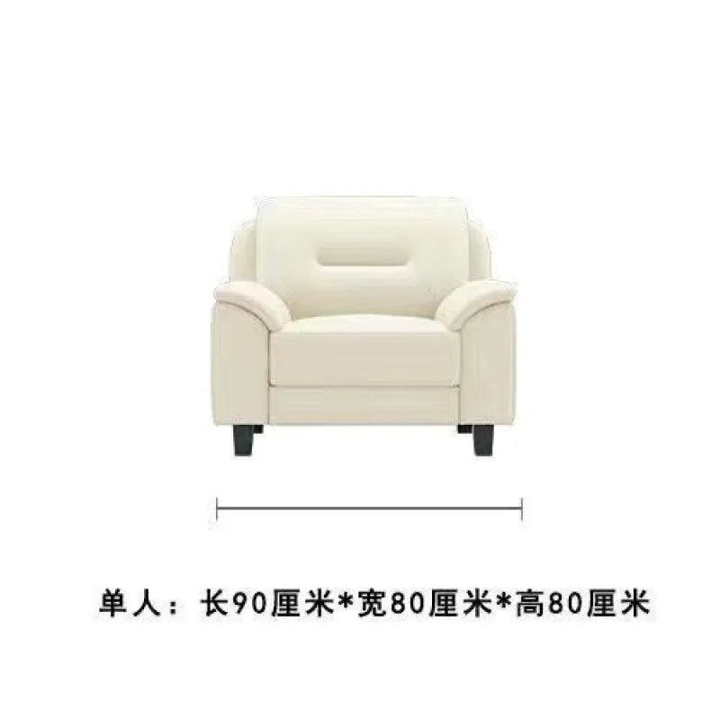 Double sofa small apartment modern living room leather leather sofa sofa three-person cowhide simple