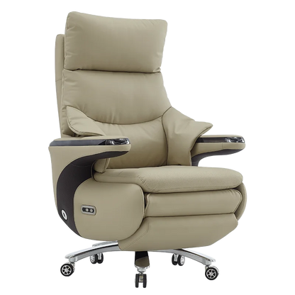 New Electric Genuine Leather Executive Chair - High-Back Reclining Office Desk Chair for Daytime Rest and Prolonged Sitting JT40