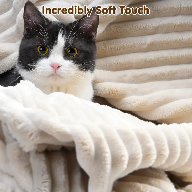 Wholesale Convertible Sofa Bed Memory Foam Vacuum Packed Modular Sectional with Storage