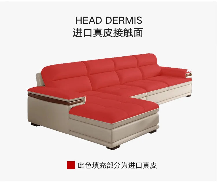 Leather sofa modern simple living room size apartment concubine solid wood combination imported first-layer cowhide sofa