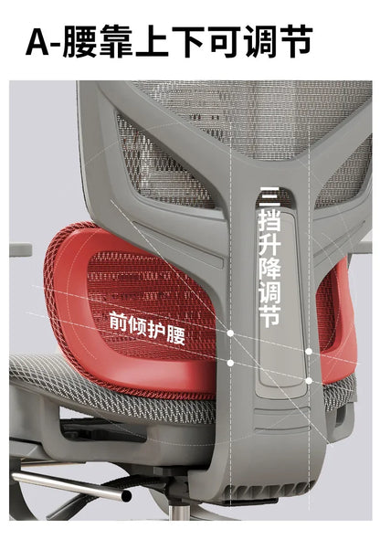 Computer Gaming Chair Ergonomic Chair Adjustable Rotatable Lumbar Support Sedentary Not Tired Silla Gamer Office Furniture