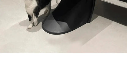 Nordic Home Modern Dining Chair Ins Simple Chair Negotiation Internet Celebrity Plastic Back Pan Dong Chair Makeup Stool