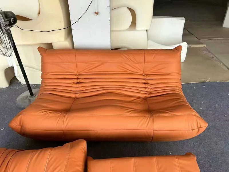 Two sofas, wife's favorite, daughter's favorite, the best seat for taking a shower, caterpillar sofa, luxury item Luxury has con