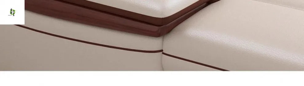 Modern simple leather sofa living room home light luxury sofa concubine combination