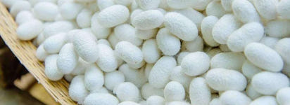 Luxury 100% Mulberry Silk Bedding Set with Duvet Cover Set Double King Queen Size Bedding Cover Kit 4pcs Bed Cover Bed Linen Set