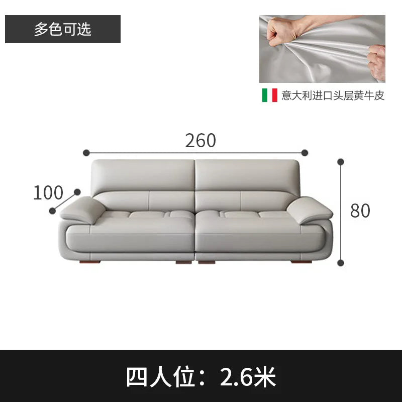 Premium Simple and modern combination imported concubine sofa size apartment living room first layer cowhide leather art sofa