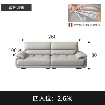 Premium Simple and modern combination imported concubine sofa size apartment living room first layer cowhide leather art sofa