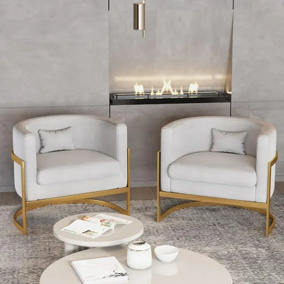 v Living Room Chair, Modern Gray Velvet Bucket Shaped Special Chair, Soft Padded Armchair, Bedroom Single Person Sofa