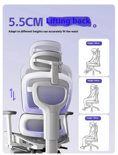 Ergonomic Office Chair with Lumbar Support Adjustable 3D Armrests Recline Tilt Function Mesh Seat for Home Office