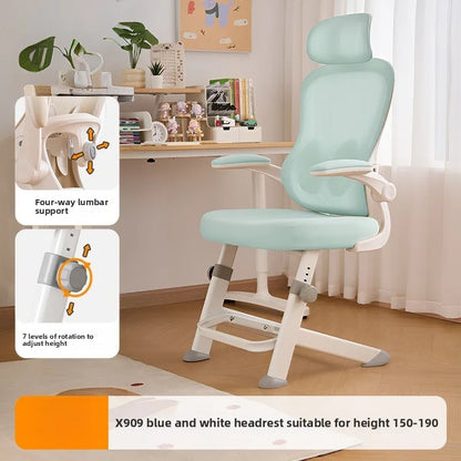 New model Durable Office Study Chair Computer Chair Household Desk Chair Student Writing Chair Waist Protection Ergonomic Chair