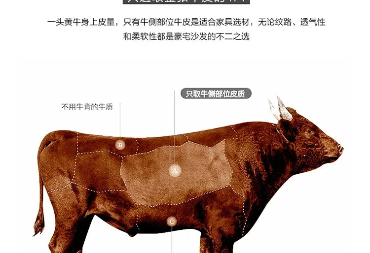 European Living Room Sofa Elegant Loveseat Wooden Modern Luxury Lounge Sofa Puffs Modular Wooden Canape Salon Furniture Home