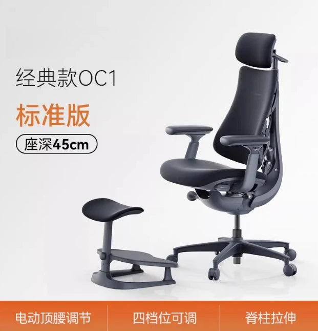 Relaxing Dynamic Ergonomic Chair Human Body Ergonomic Chair Computer