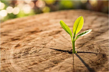 New Design Sets for Living Room Modern Sectional Metal Frame Curved Sofa Villa Luxury Furniture Sofa Set with Great Price