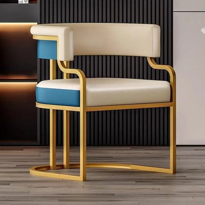 Modern Light Luxury Accent Chair Premium Dining Chair for Salon Reception Office Conference Hotel Lounge Makeup Nail Studio