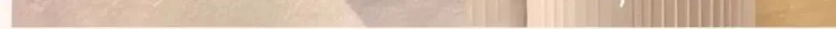 Single Sofa Caterpillar Sofa Balcony Leisure Bedroom Living Room Lie Down or Sleep Lazy Sofa Single Deck Chair