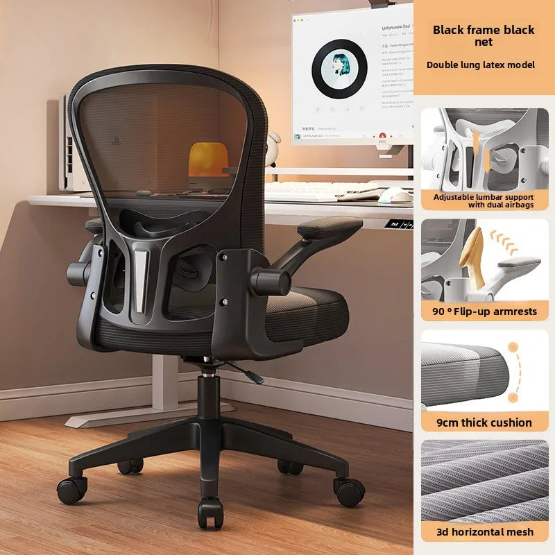New model Computer chair Dormitory chair Ergonomic chair Learning seat Computer chair with waist rest