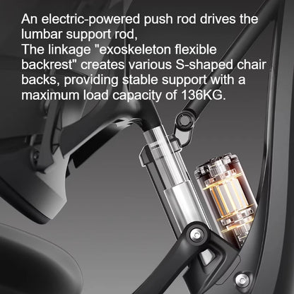 Office Chairs LiberNovodynamic Ergonomic Chairer Gonomic Computer Chairoffice Gaming Cadeira Escritorio Recliner Armchair