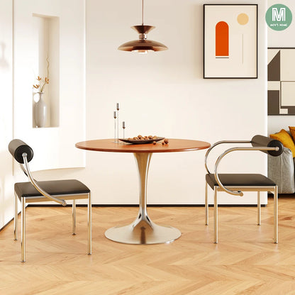 Vintage Designer Dining Chair with Stainless Steel Frame Study Room Seat Bedroom Dressing Table Makeup Stool Home Kitchen Chairs