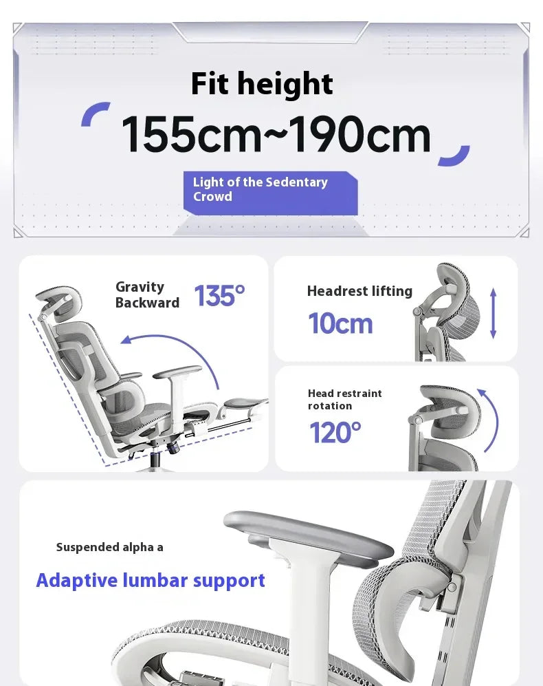 Ergonomic Office Chair with Lumbar Support Adjustable 3D Armrests Recline Tilt Function Mesh Seat for Home Office
