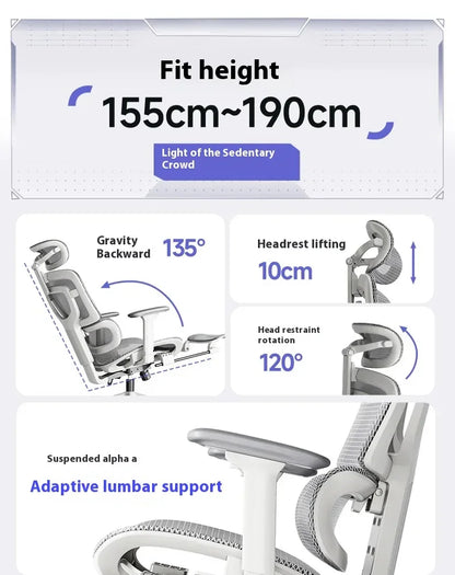 Ergonomic Office Chair with Lumbar Support Adjustable 3D Armrests Recline Tilt Function Mesh Seat for Home Office