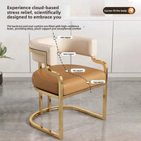 Modern Light Luxury Accent Chair Premium Dining Chair for Salon Reception Office Conference Hotel Lounge Makeup Nail Studio