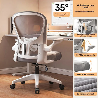 New model Computer chair Dormitory chair Ergonomic chair Learning seat Computer chair with waist rest