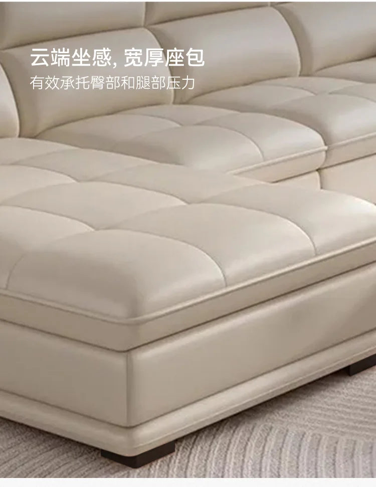 Leather sofa modern simple living room size apartment concubine solid wood combination imported first-layer cowhide sofa