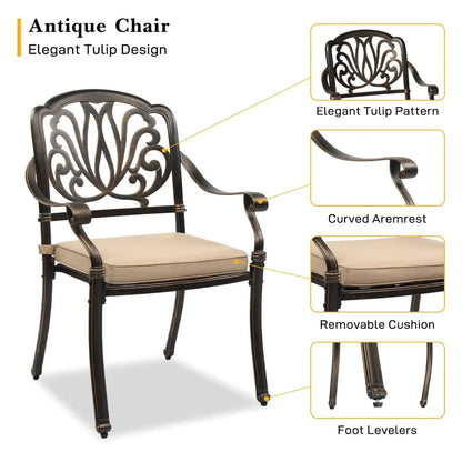 Cast Aluminum Patio Dining Chairs Set of 2 with Cushion Metal Armchairs for Poolside Backyard Balcony, Customized
