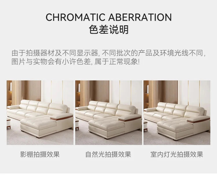 Leather sofa modern simple living room size apartment concubine solid wood combination imported first-layer cowhide sofa